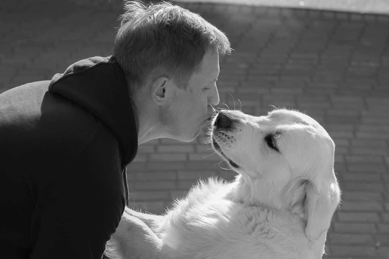 a-us-army-veteran-bonds-with-a-stray-dog-in-syria-and-they-re-reunited